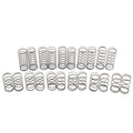Avid 13mm precision carpet springs – front and rear (full set of 11 pairs) Updated