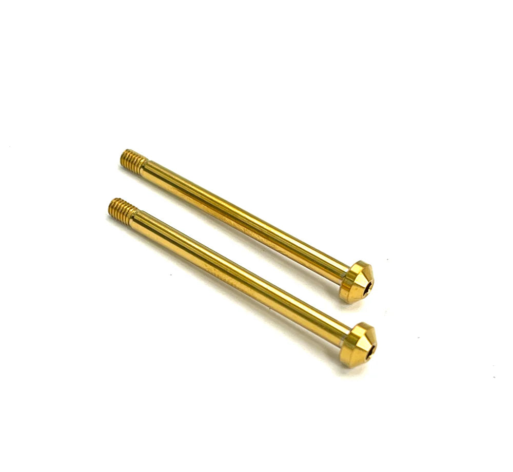 R1WURKS Rear Outer Hinge Pins, Titanium (Titanium Nitride Coated)