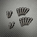 R1WURKS R1B Titanium Upper Screw Set - Carpet
