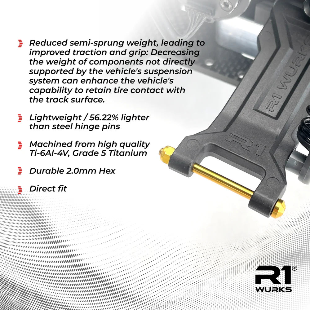 R1WURKS Rear Outer Hinge Pins, Titanium (Titanium Nitride Coated)