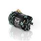 CAYOTE CREST Brushless Motor - 7.0T